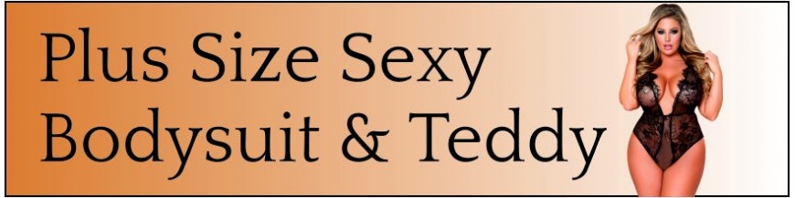 Plus Size Bodysuit & Teddy